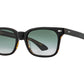 Front angle view of black tortoise American Optical Tournament acetate sunglasses with polarised green gradient nylon lens