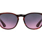 Front view of cardinal American Optical AO-1004 acetate sunglasses with non-polarised pink gradient nylon lens