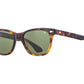Front angle view of tortoise American Optical Saratoga acetate sunglasses with non-polarised green nylon lens